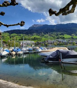 looking up at the Rigi from Küssnacht