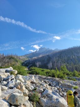 Looking back at Goode