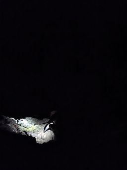 climbing in the dark